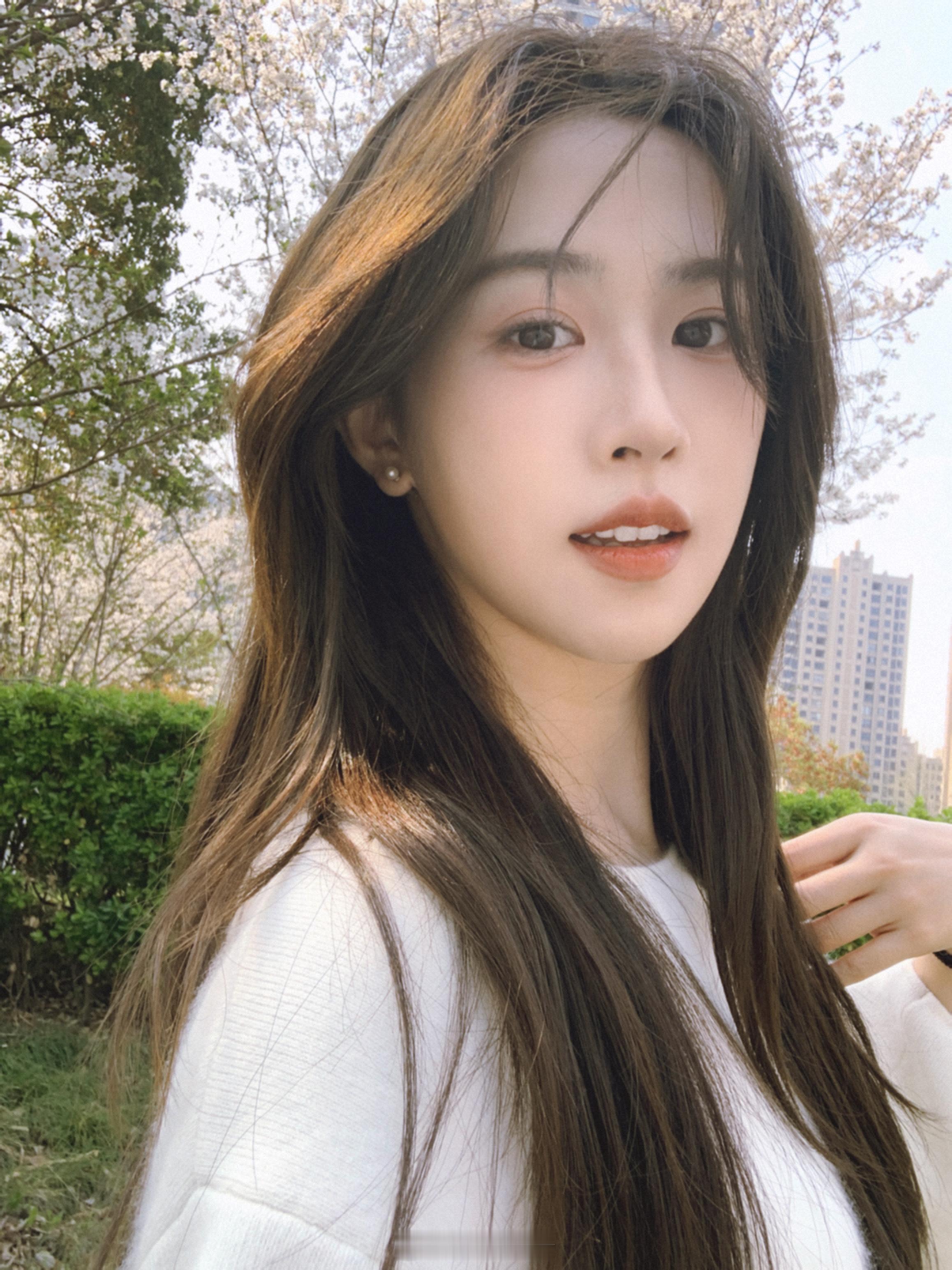 樱花飘落的速度，是每秒五厘米 ​​​