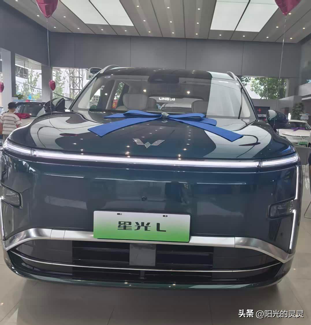 当大家还以为大六座SUV都要十几万起步时，上汽通用五菱带来了星光L，把原生大六座