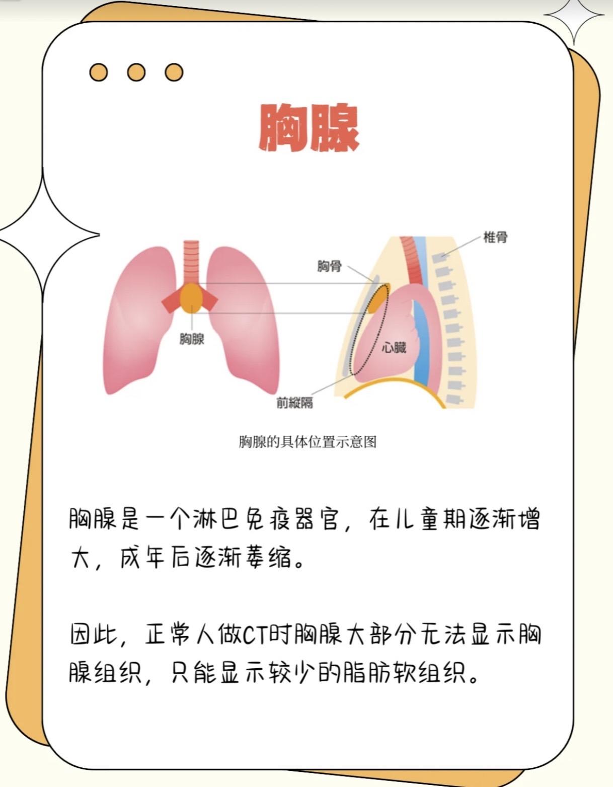 胸腺瘤 胸腺癌。