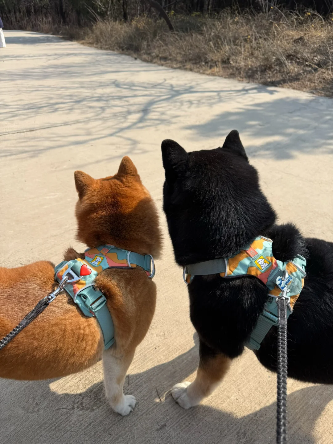 热心群众柴师傅