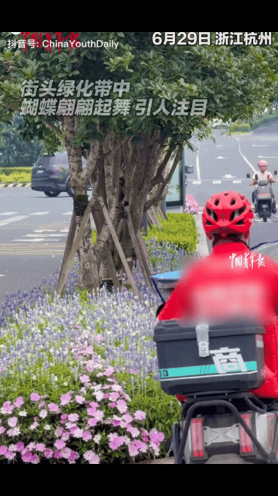 近日，杭州又因为“美”上了热搜！
但这次不是西湖的潋滟水光，也不是灵隐的禅意幽深