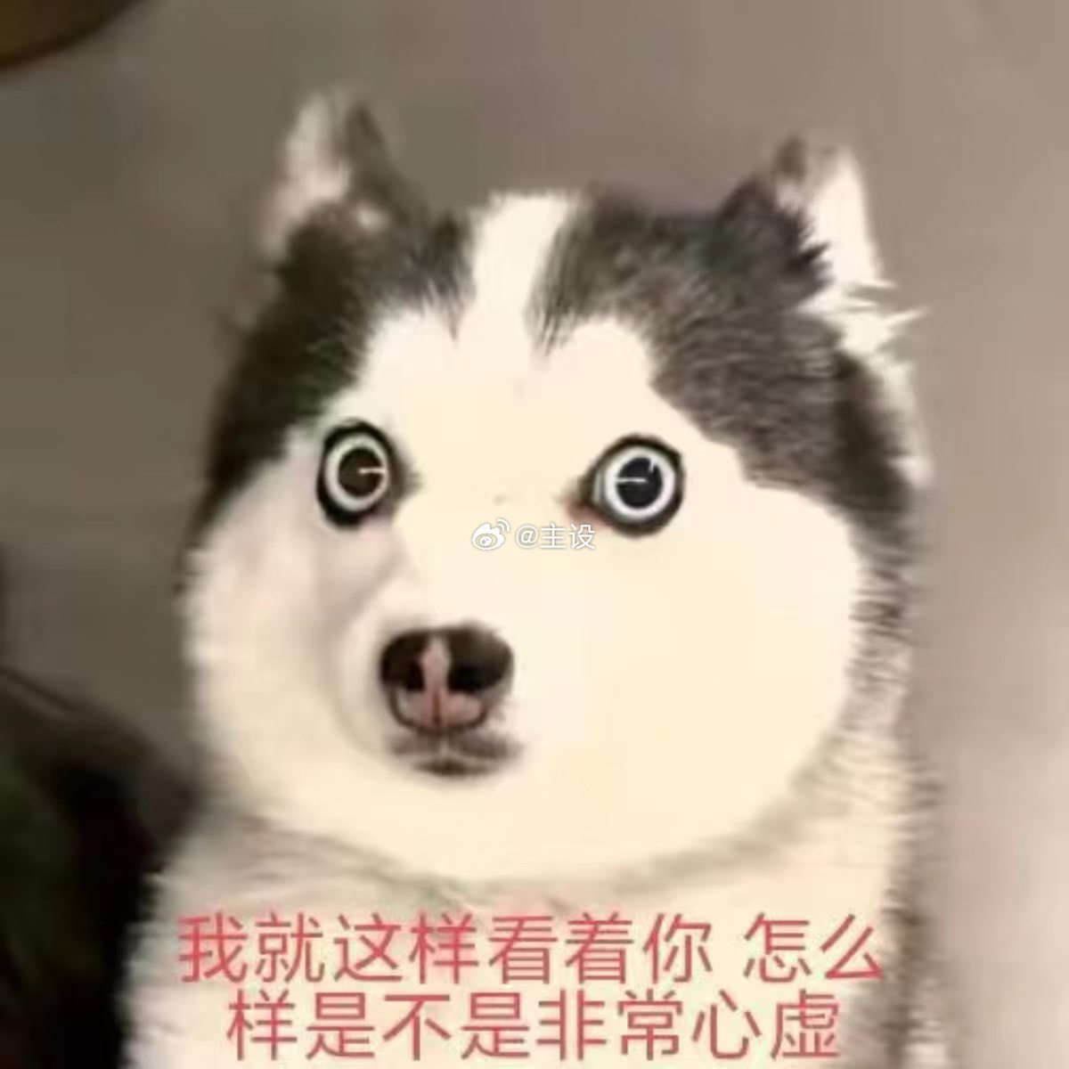 分享图片 ​​​