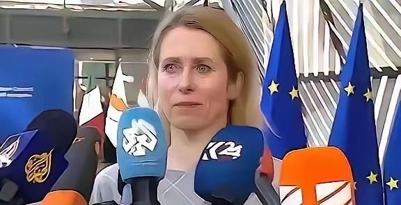 欧盟正式官宣了一个让全球科研界震动的决定：从2026年起，将中国科研机构全面排除