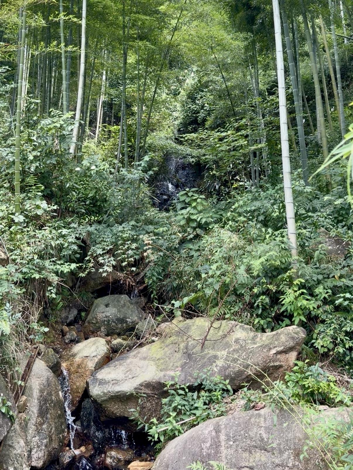 农夫、山泉、泡茶有点甜[呲牙]白丁茶舍 
从安吉回杭州前，开车去到半山腰，打了3