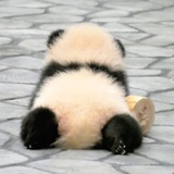 梅晴爱看娱乐