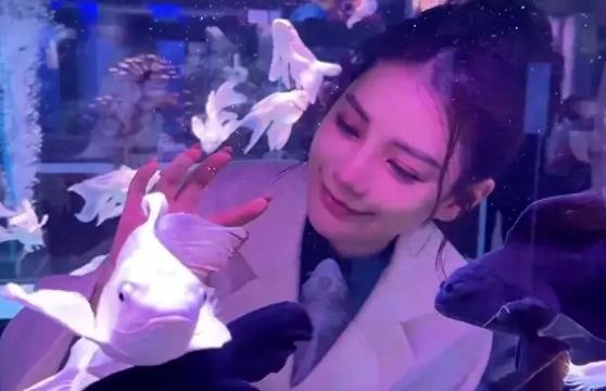 马筱梅确实挺漂亮的，再生几个孩子，就更完美了！
 
前妻的俩孩子虽然是亲生的，但