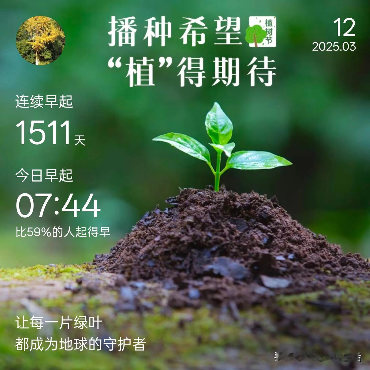 2025年3月12日 周三 雨
 
今天可是植树节呢，早晨睁眼一看时间，都7点多