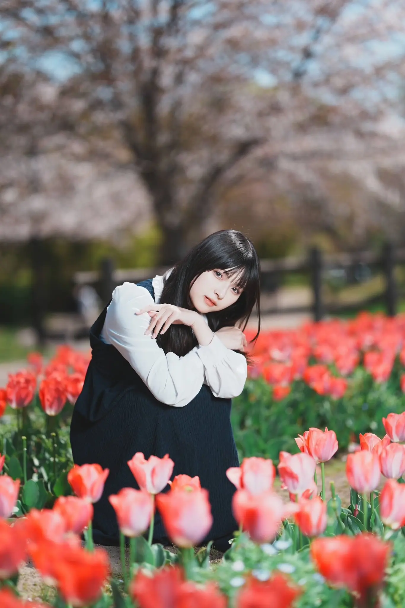 樱花拍照 花海 郁金香花海 樱花 樱花氛围感照片