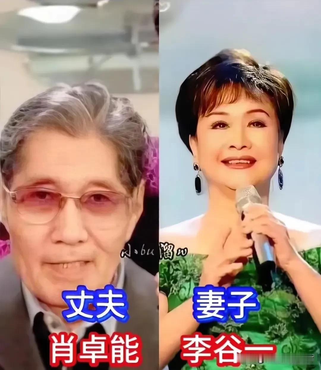 翻看李谷一与肖卓能、关牧村江泓、阎维文刘卫星等老一辈歌唱家的夫妻合照，才懂他们相