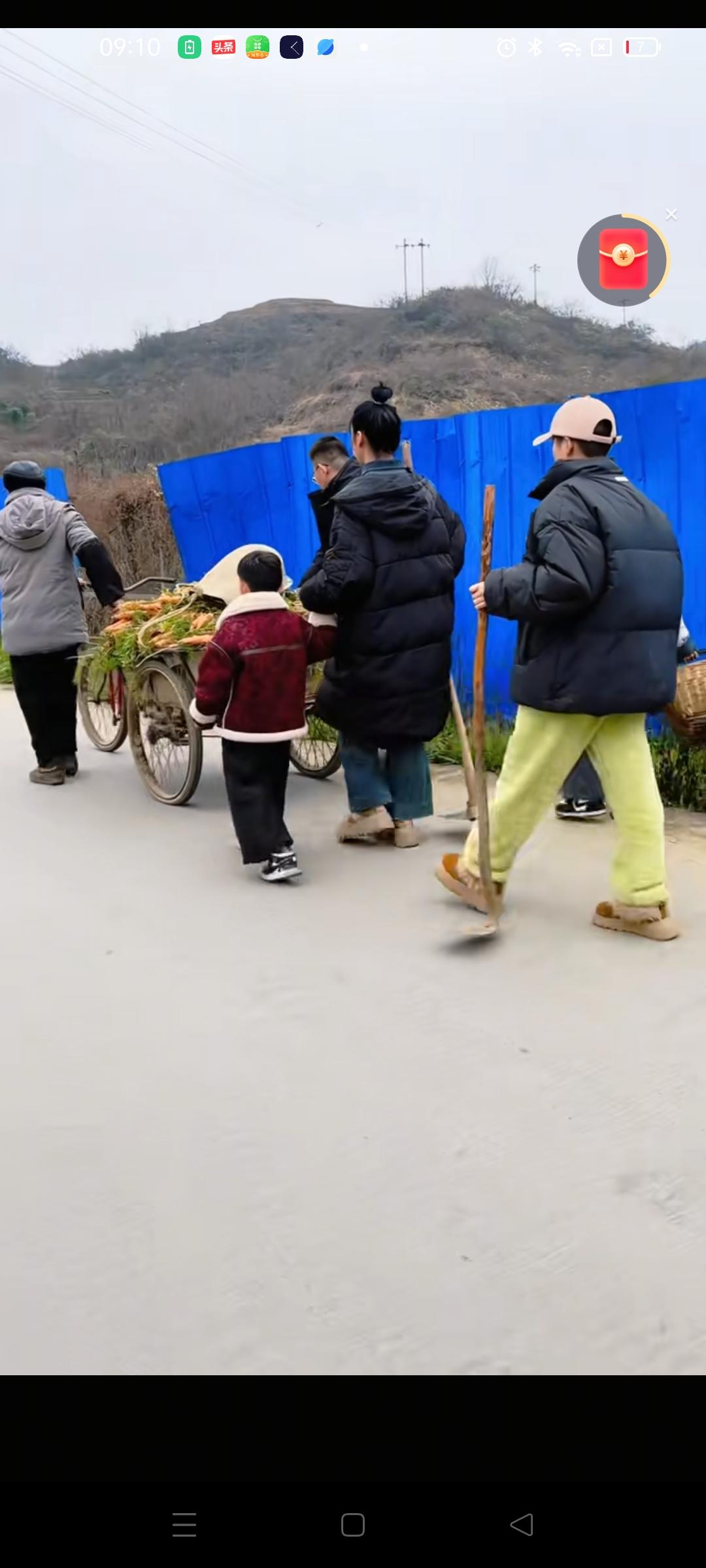 今天胡龙起了个大早 ，和全家人在地里拔胡萝卜 ，现在是胡萝卜丰收的季节，离开家3