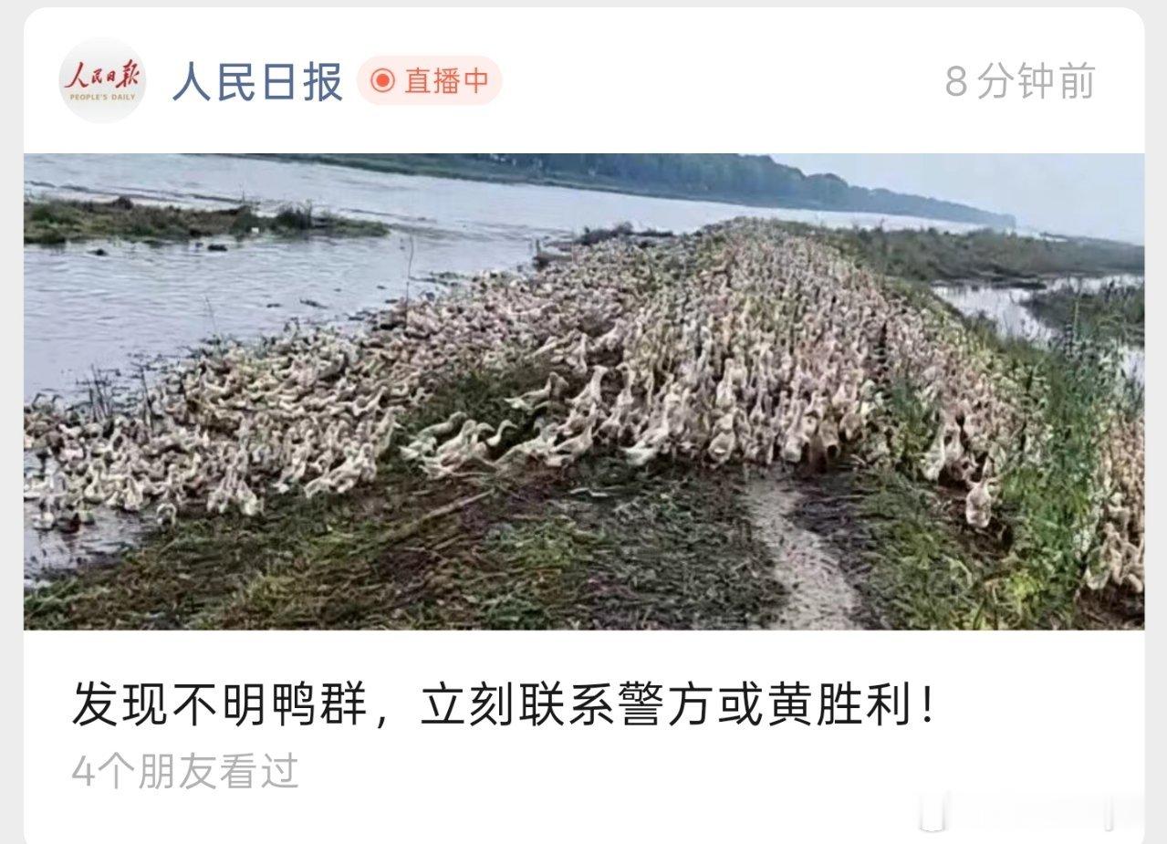 三只鸭子是四只鸭子是 