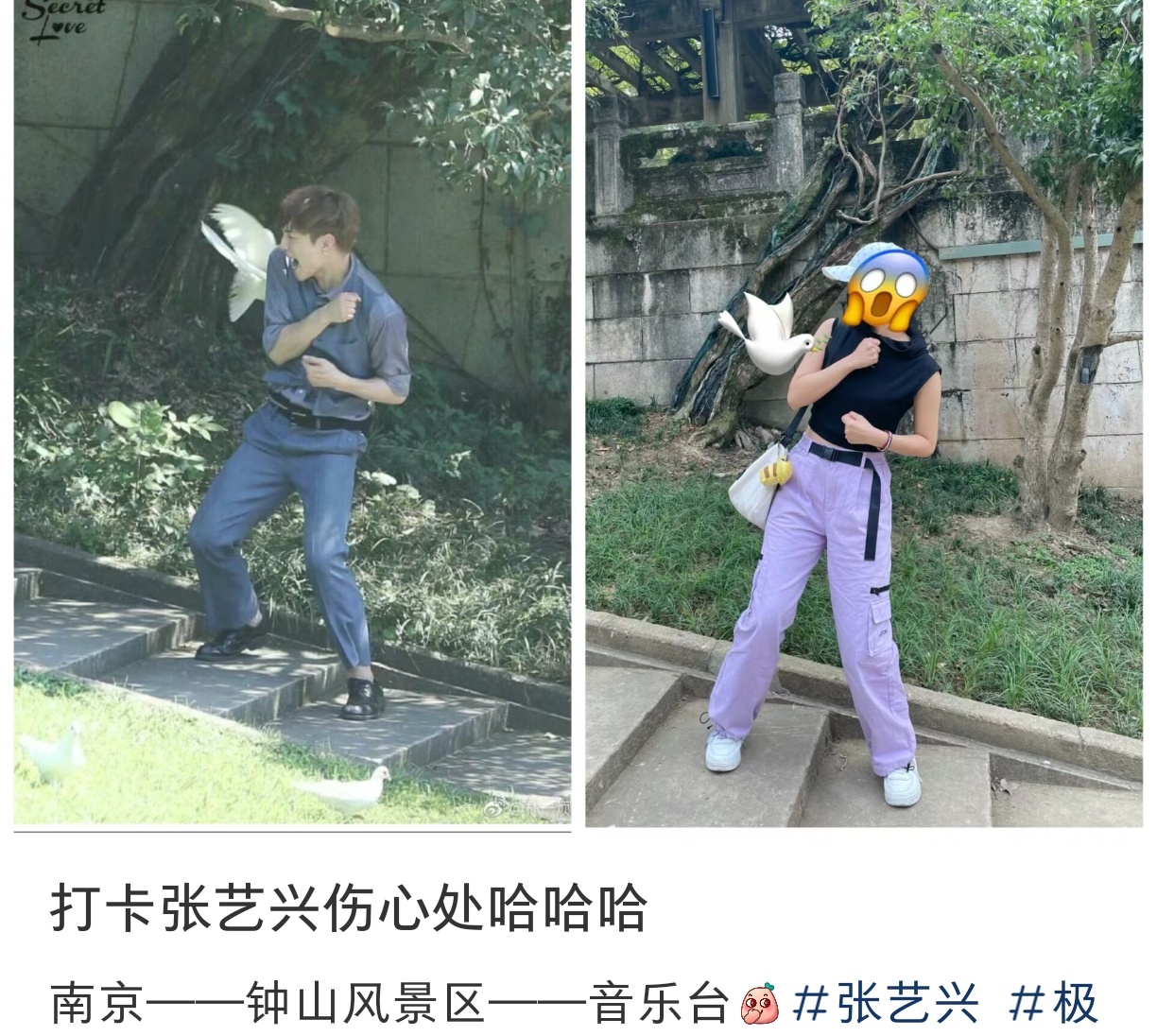 #打卡张艺兴伤心处##张艺兴这卡也不是非打不可# 哈哈哈哈哈哈给张艺兴留点面子吧
