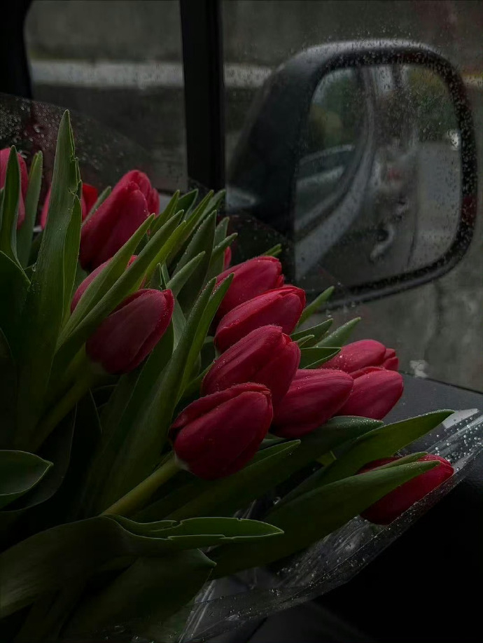 成年人的世界除了生命终点越来越近其它都是渐行渐远 