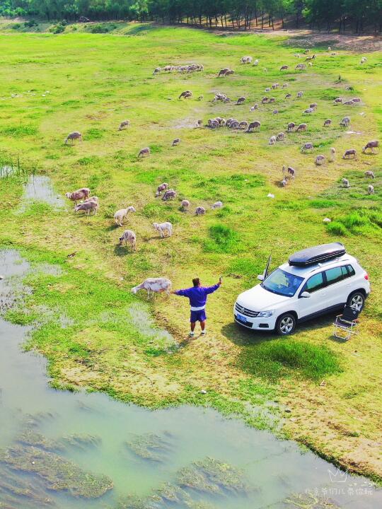 免费❗️1h车可到河边和草原露营攻略附地图