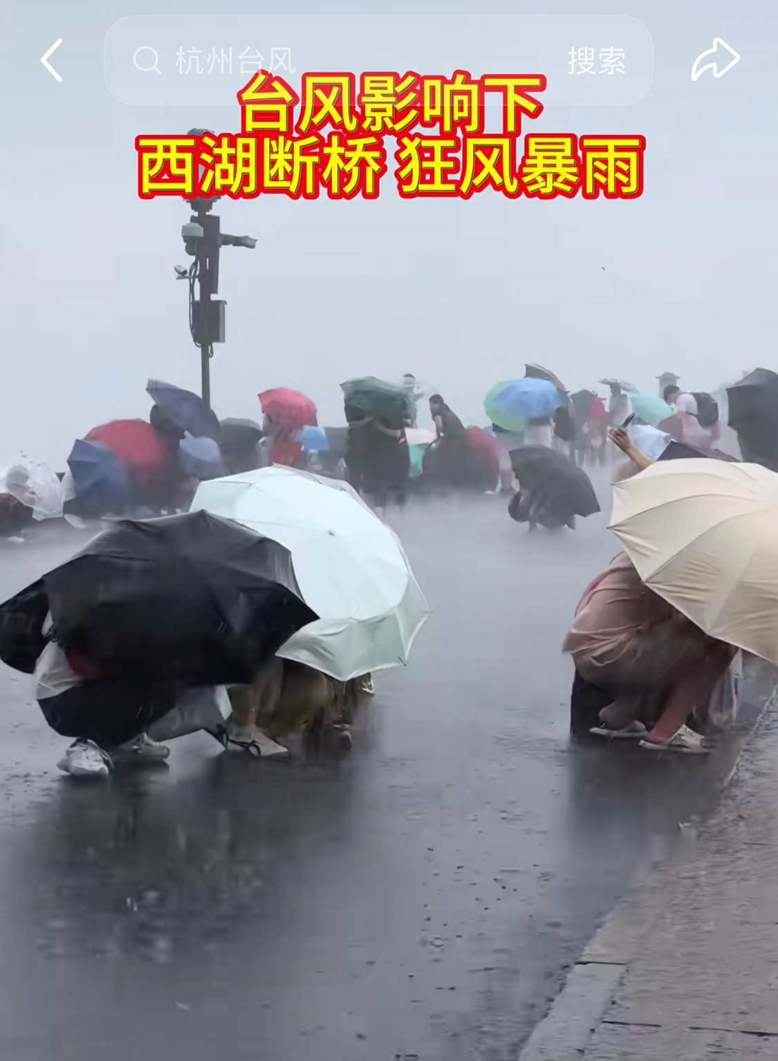 台风影响杭州山区水位暴涨这次台风比上次的体感要强，风大雨量也多。。。西湖游客也是