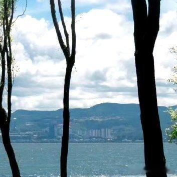 每日一善‎每日一善 ‎阳光‎信用 以善良为师，得到的是正义和正直的教诲，即使步履