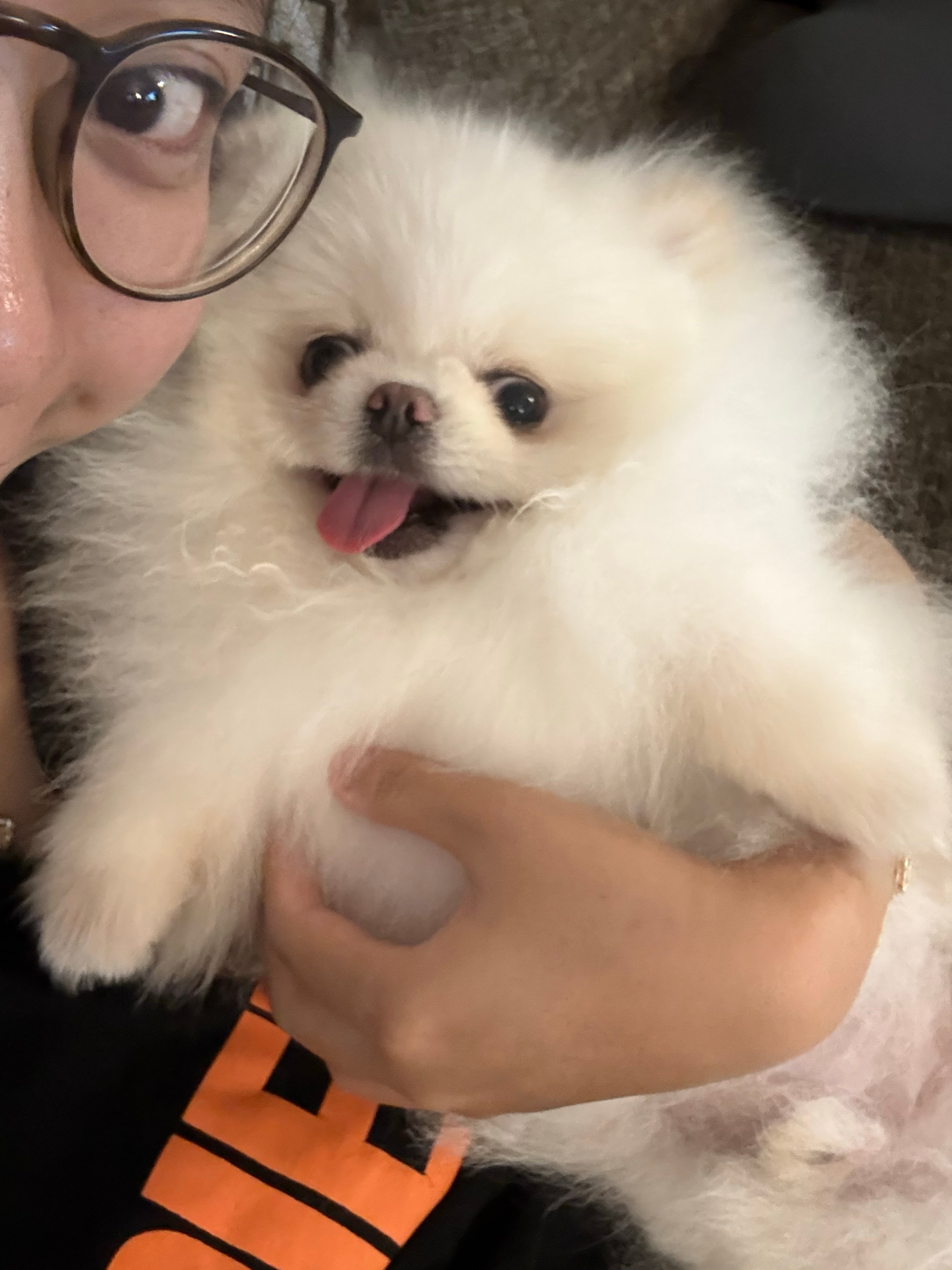 好久没宠幸我的好大儿了