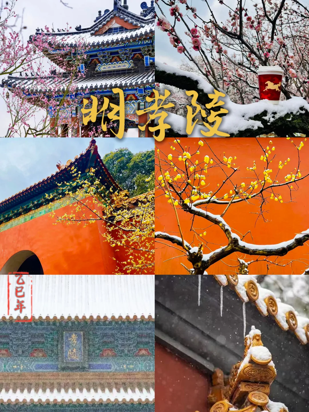 2.7南京雪景︱明孝陵秒变冰雪紫禁城！