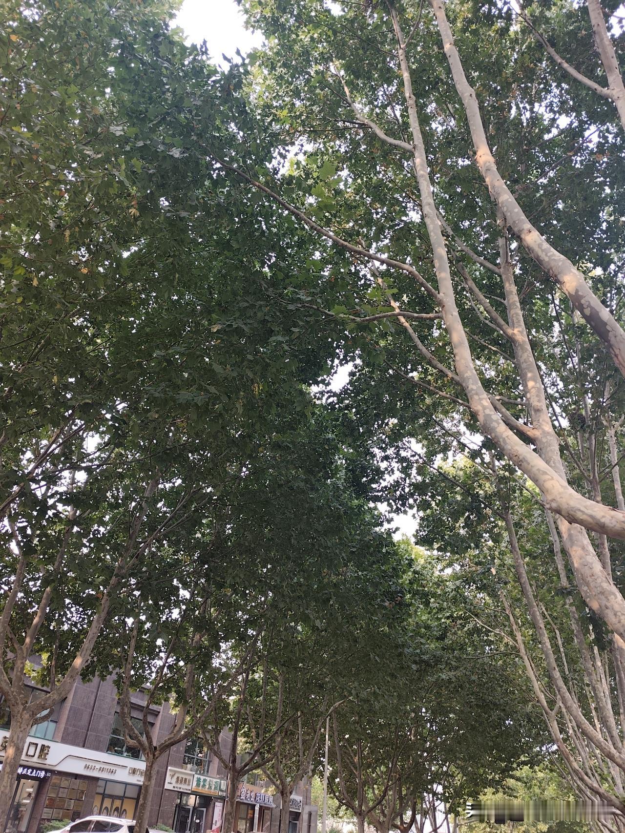 问个奇怪的事，别吓着你们。
我一个人在家时，经常会听到敲门的声音，却没人来。
虽