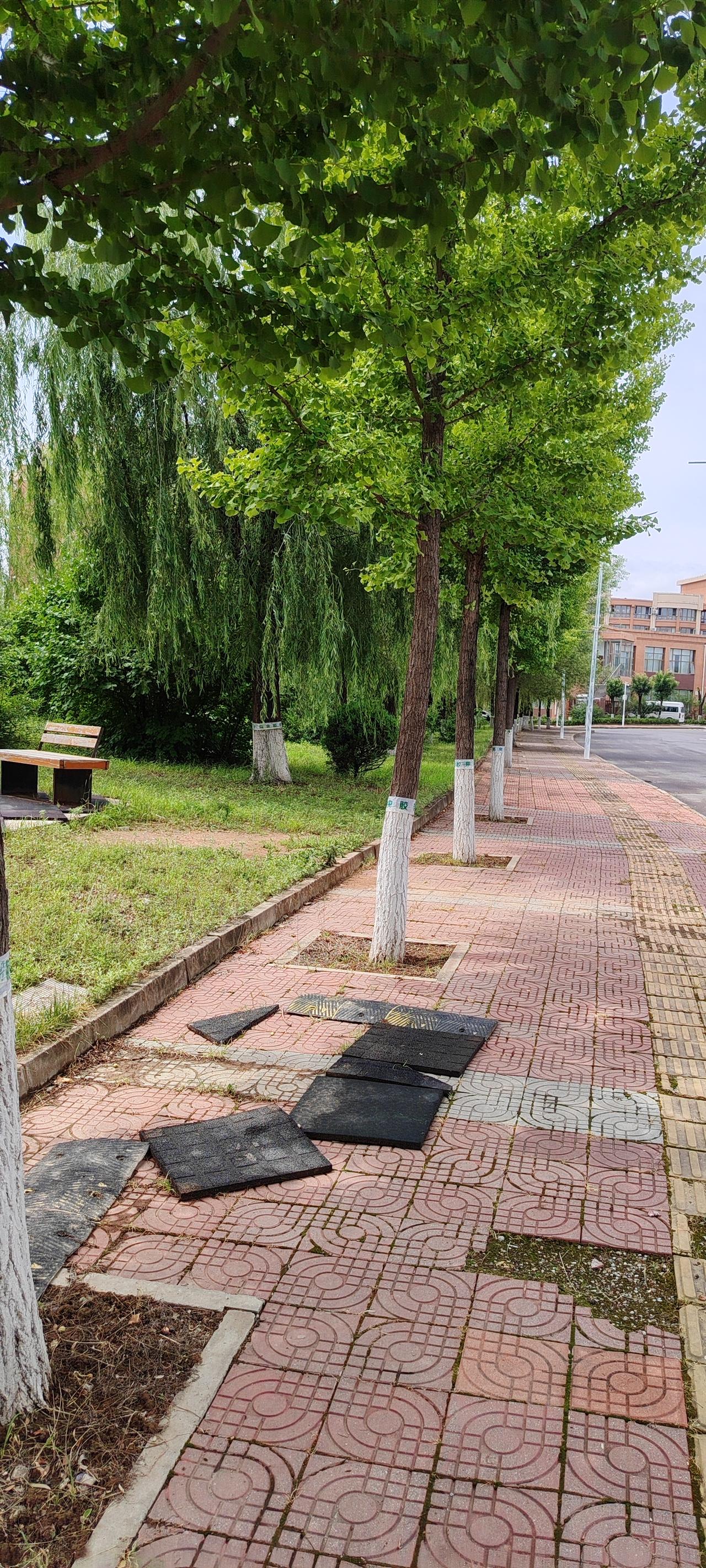 静水深流：深潭表面波澜不惊，底下却蕴藏千钧之力。老子说“孰能浊以静之徐清”，真正