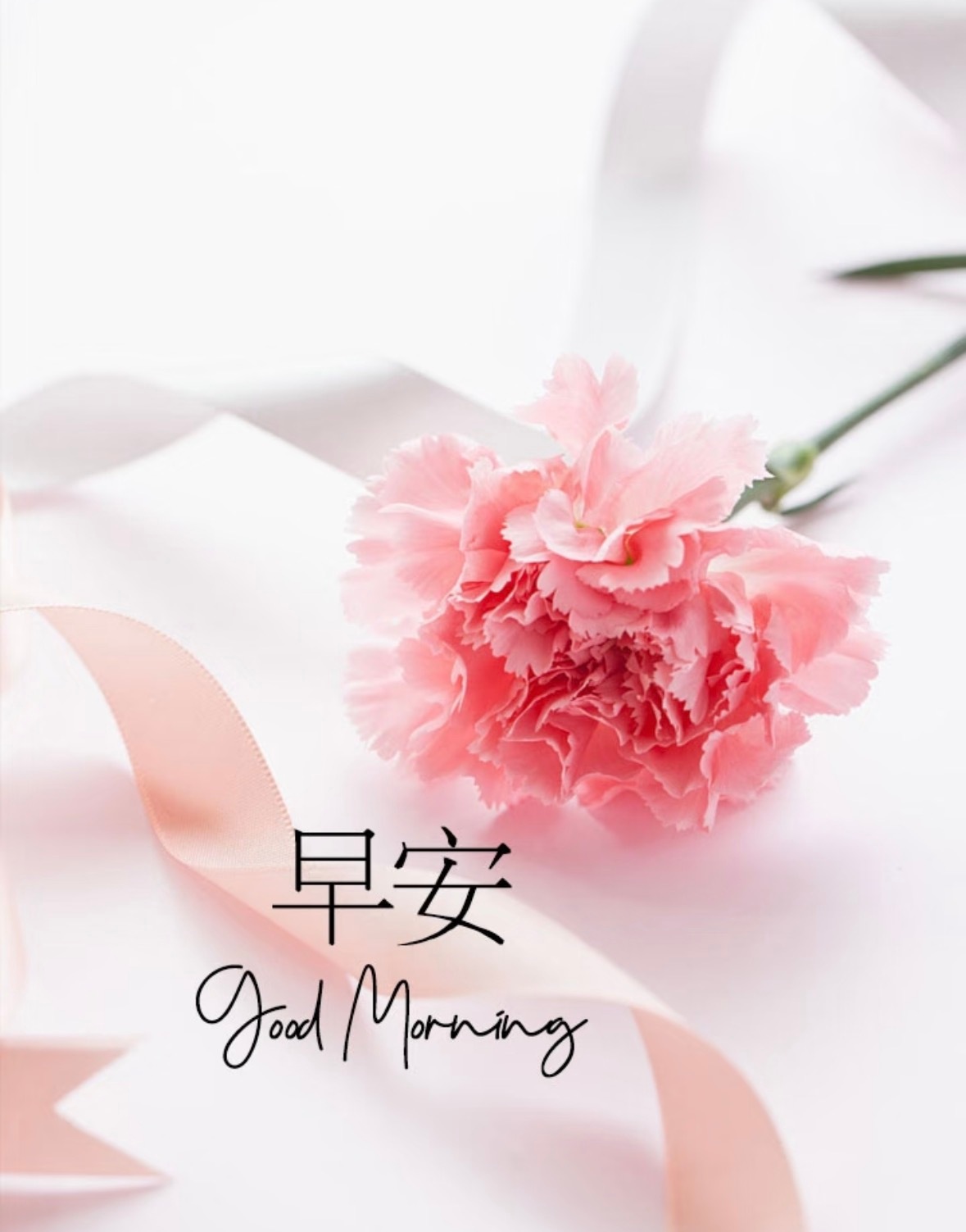 🌸𝟖月你好呀～新的月份，有新的期待。愿八月的风，吹来温柔和好运🍀。愿生活有
