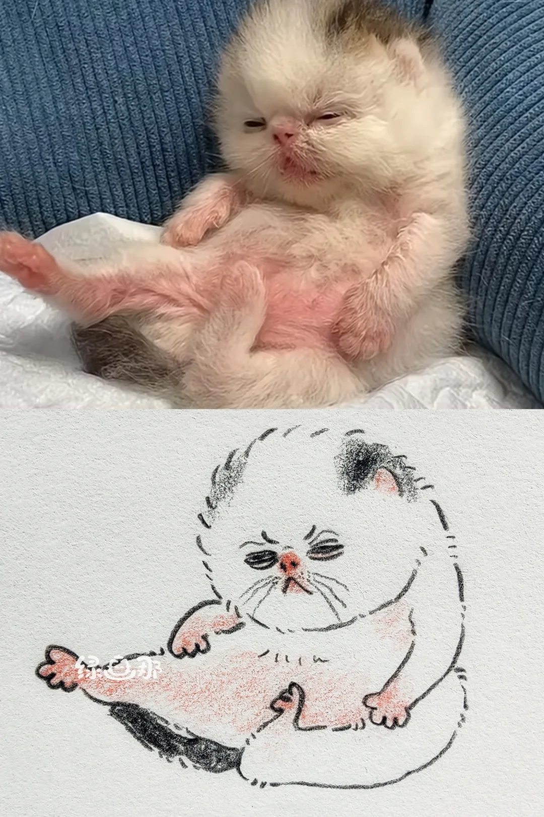 老鼻嘎