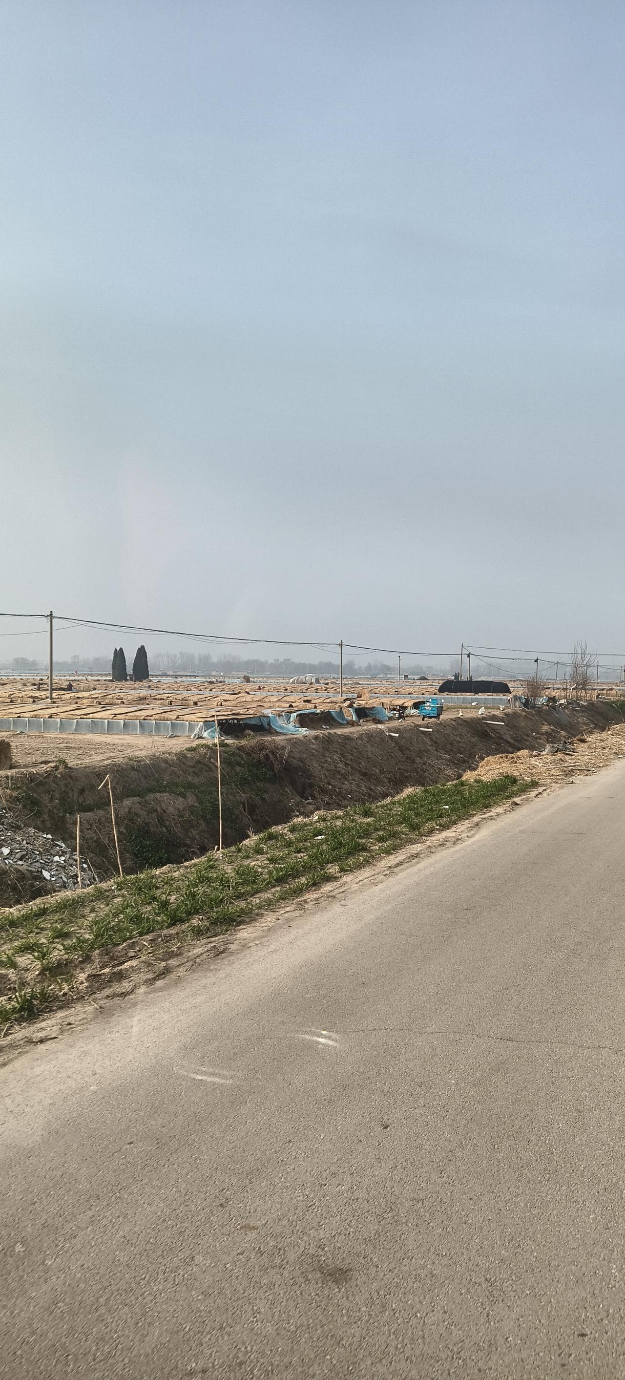 咱们吃的菜是这样种出来的，你们都见过怎么种菜的吗？