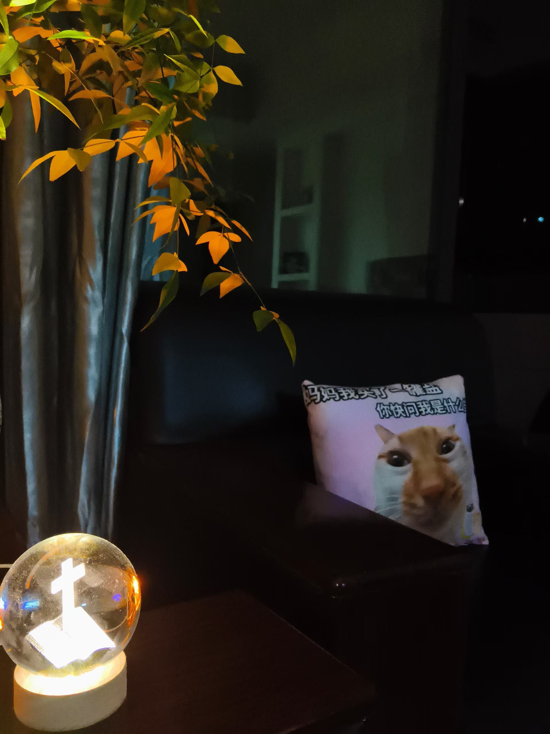 晚安你已连续晚安问候2167天。纵使眼前迷雾蒙蒙，你仍要相信会有美丽的风景。V影