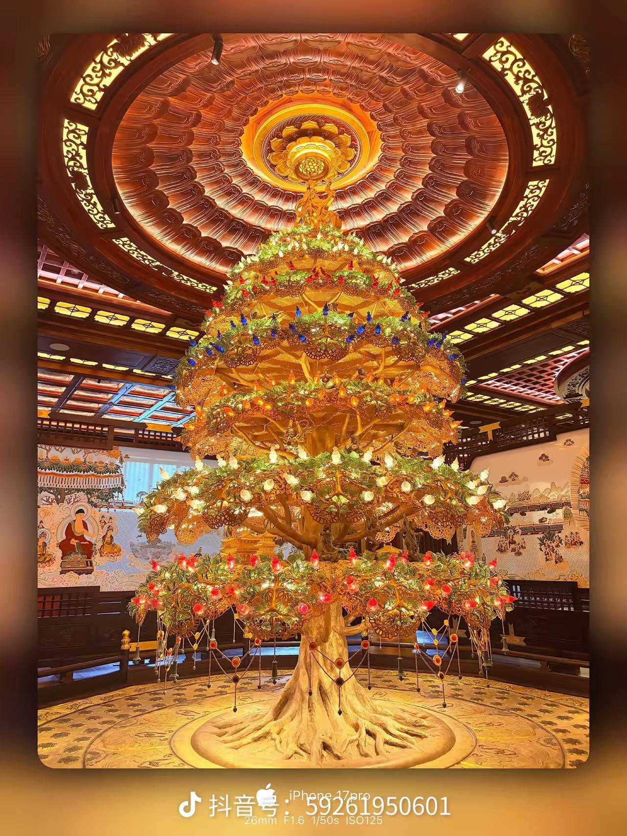 读了四年大学的白眼狼，终于退学了。四年本科。玩了4年游戏，把自己玩成了病，九月刚