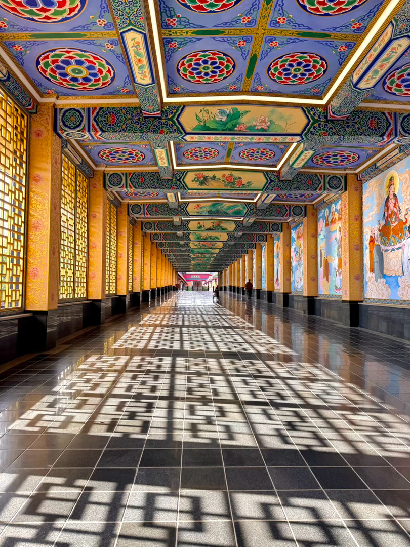 我始终觉得 因为所处环境所经历的事 每个人对幸福的定义都不同 所以不要用他人的“