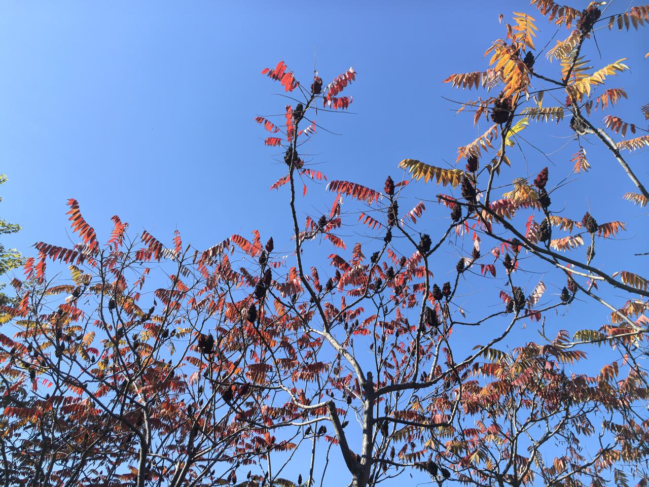 我做股票喜欢冒点风险，所谓风险越大收益越大。我媳妇和我相反，比较保守，我就给他推