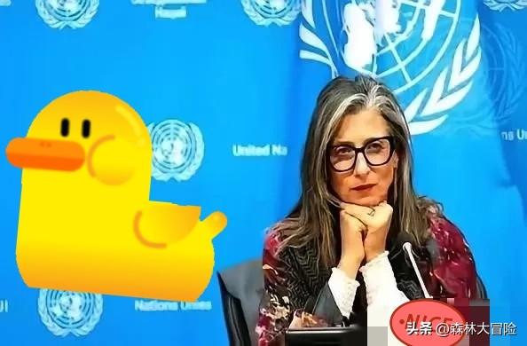 联合国里，终于来了个狠人。
一个叫阿尔巴内塞的女人，当着全世界的面，把一份报告直