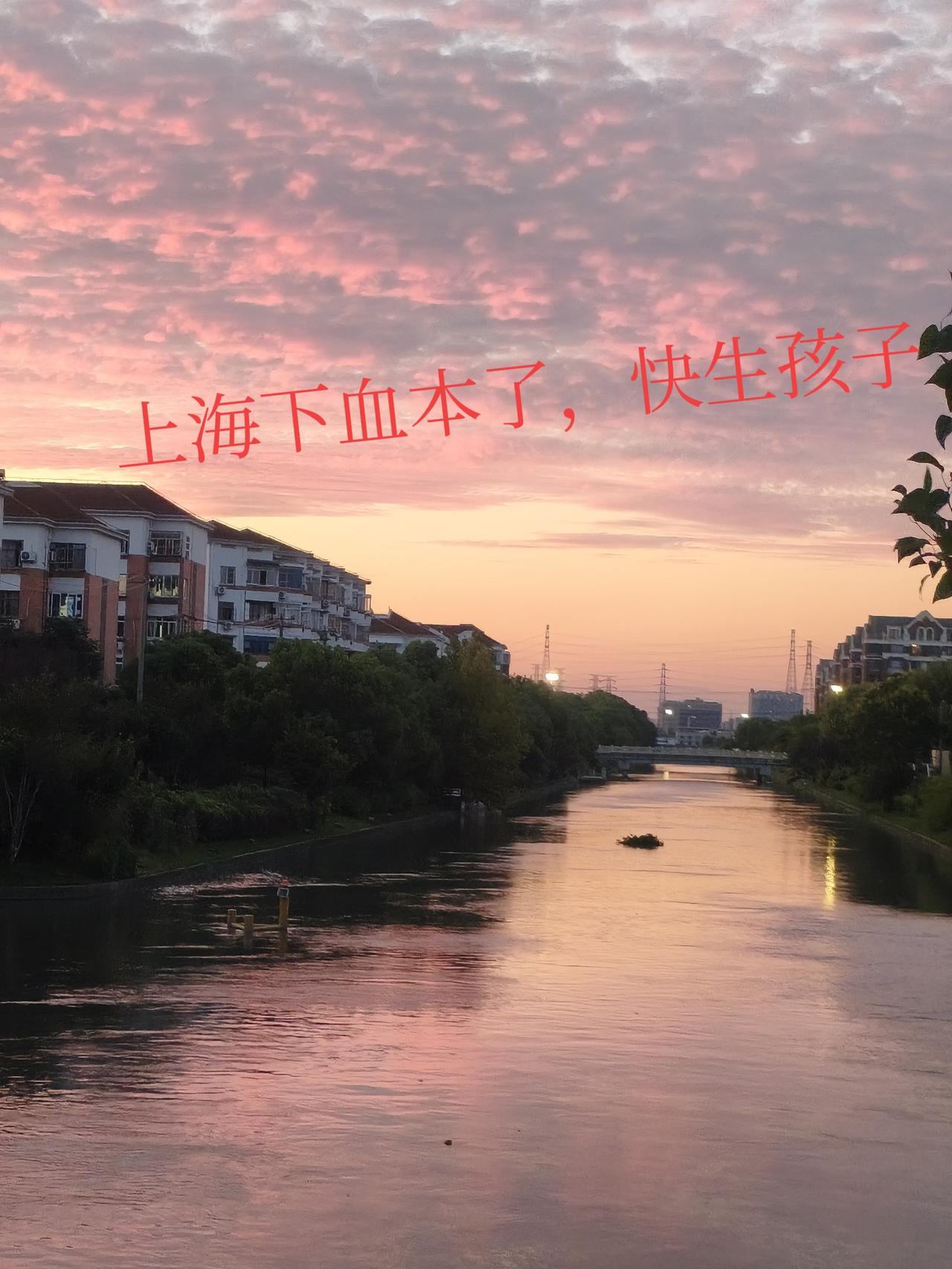注意：2026‑10‑01起上海生育医疗报销新政正式实施；假期规则不受国庆日期改