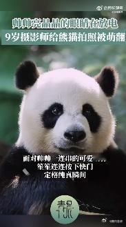 #小小J神拍广州潮男好绝# 当初给这只熊猫取名“帅帅”的人，真是眼光独到！在J神