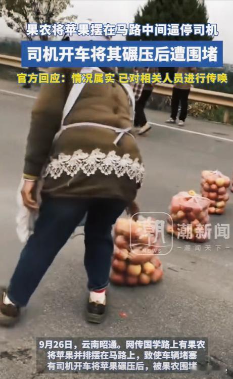 云南文旅一觉醒来天塌了！云南昭通，几位果农私自设卡，逼迫过往司机买当地的苹果，不