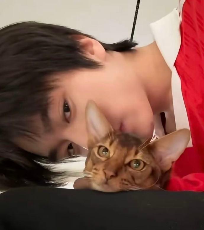张康乐平等端水每一只猫咪听他聊家里的猫咪好治愈，不厚此薄彼用心照顾每一只，这份细