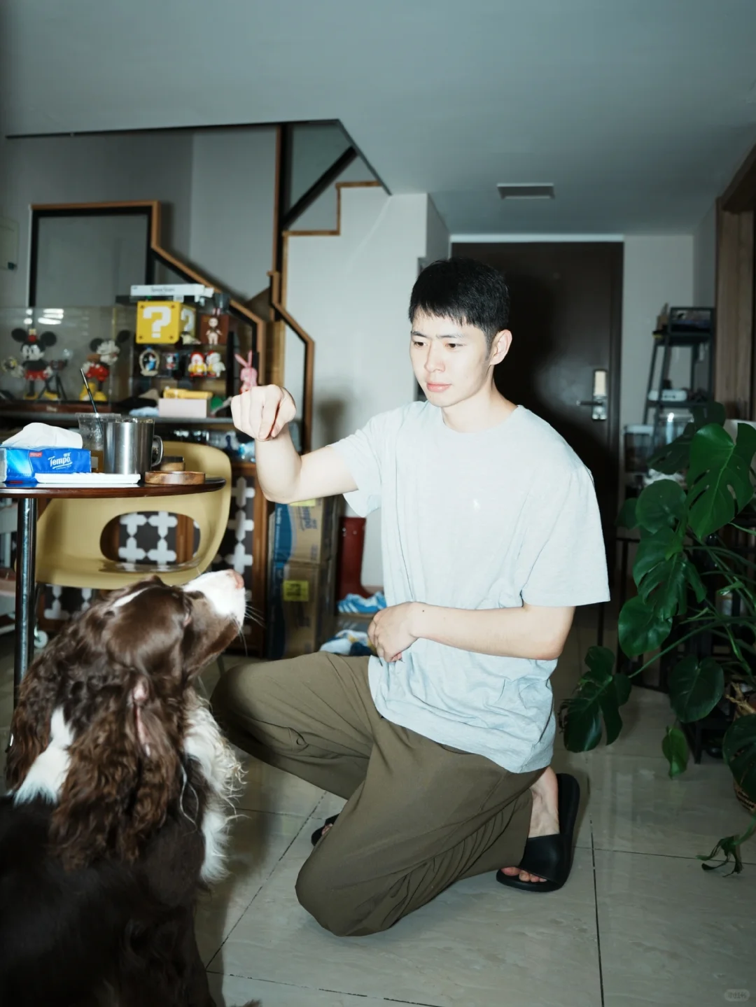 这有一只乖狗狗