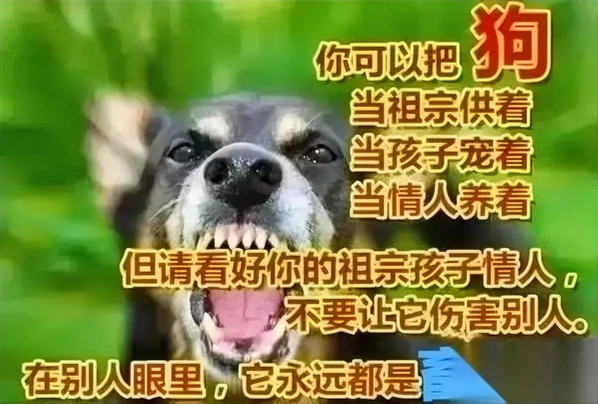 北京那养狗大姐

最近脸疼死了

她之前撒泼喊的那句“法绝不向不法让步”，这回真