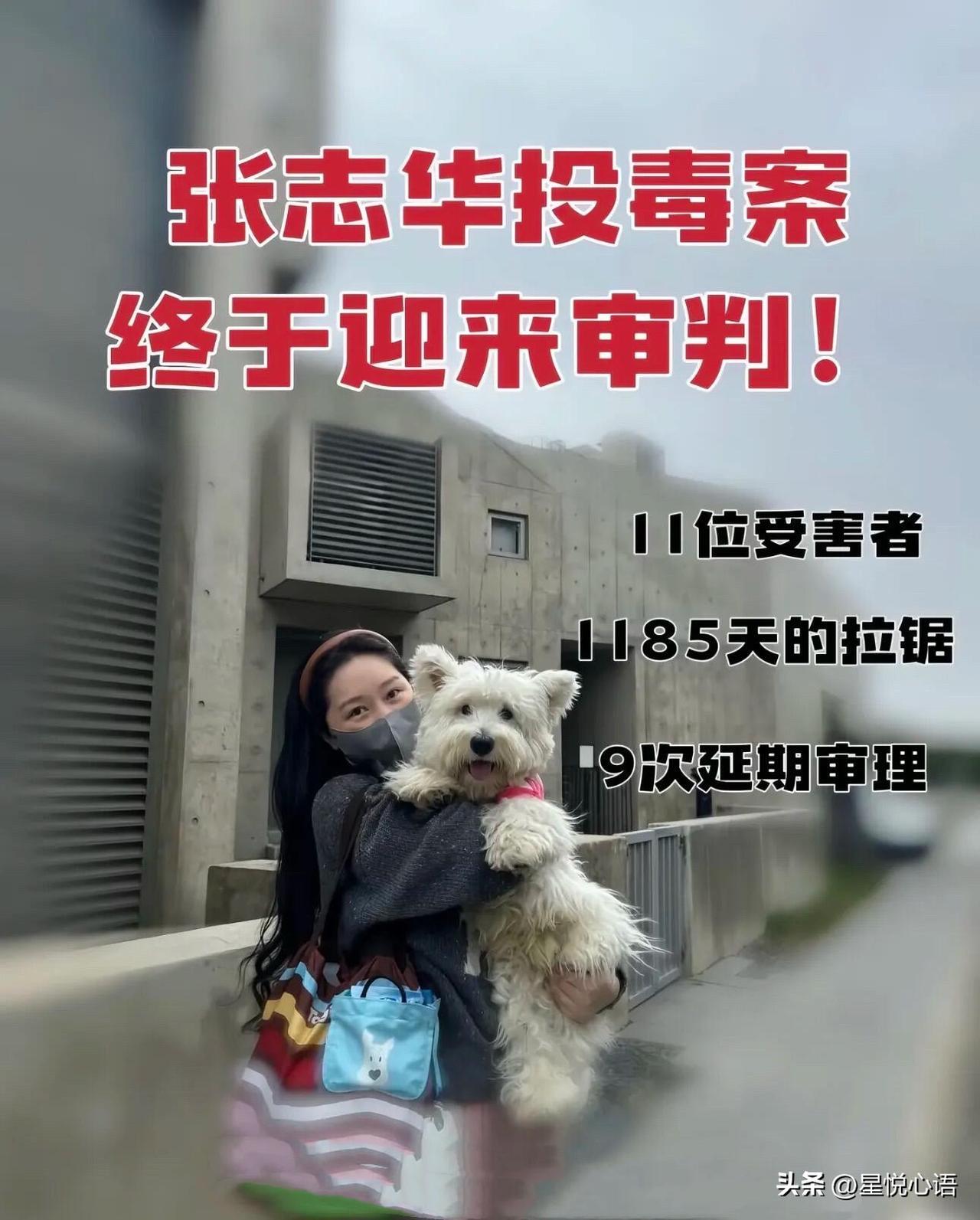 等了1185天，北京papi西高地投毒案终于判了！
投毒者获刑4年，这结果太解气