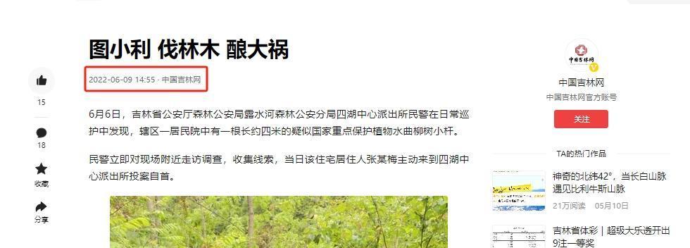 吉林一女子家中缺少晾衣架，她便去附近的树林里随便砍了一棵曲水柳树当晾衣架，谁料几