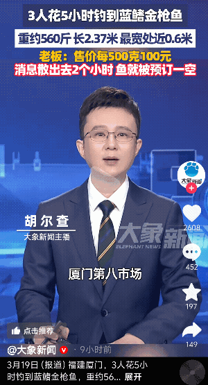 “太厉害了！”福建厦门，3名钓鱼佬花了5个多小时钓上一条长达2.37米的蓝鳍金枪