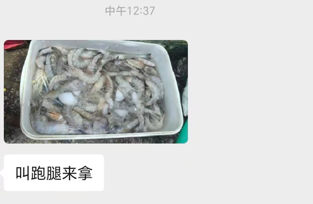 看到救助群里海鲜店老板把死掉的大虾免费送给流浪猫基地，感叹还是好人多呀，希望老板