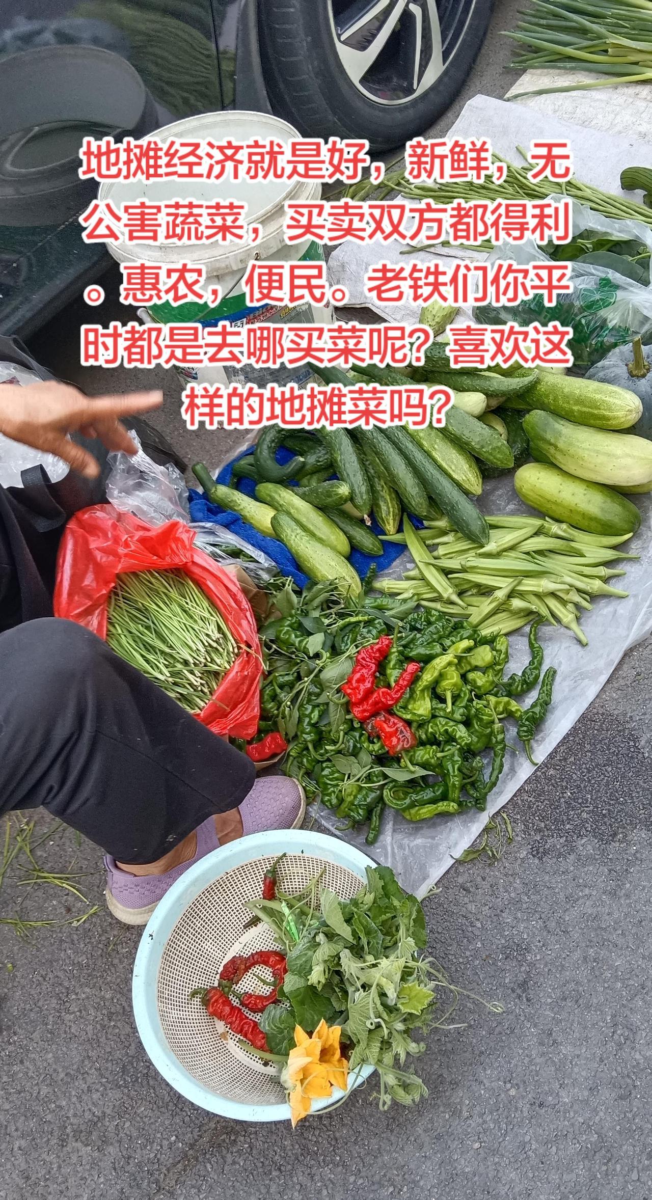地摊经济实惠，新鲜，无公害，惠民。老铁们，你平时都是去哪买菜的？菜价便宜 挑选优