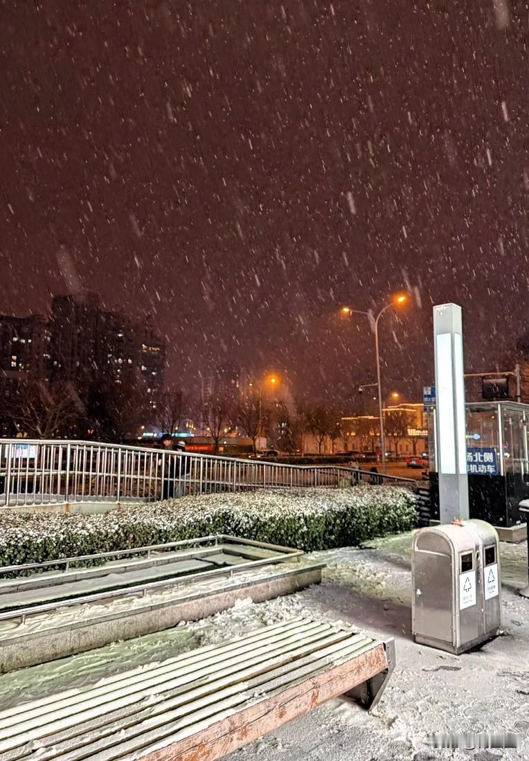 看到朋友圈，才知道北京下雪了。

真美