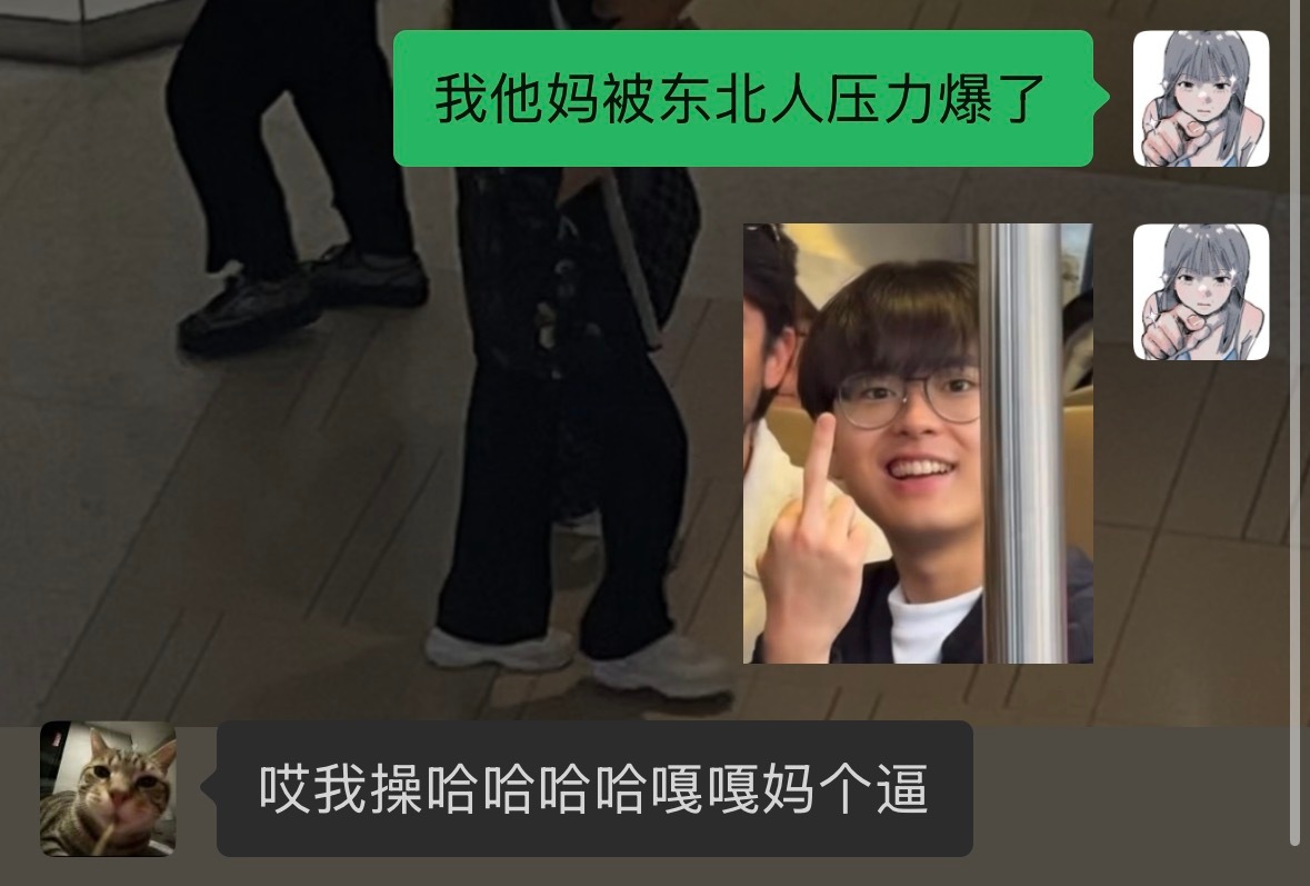 我以后再也不天津服单排了