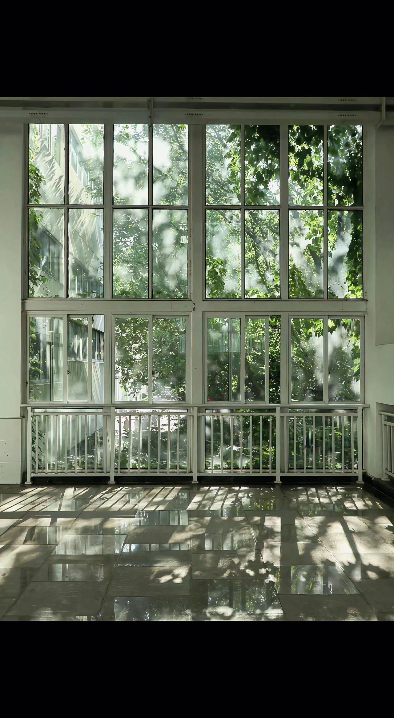 ☀️光影在地面跳圆舞曲，玻璃框住整个夏天🌿。树影是流动的诗，留白处都是风的形状