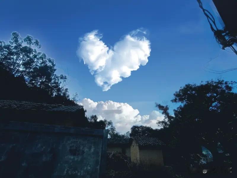 你爱，我更爱；你不爱，我转身。
真心从来都是双向奔赴，你交付温柔，我便倾尽深情回