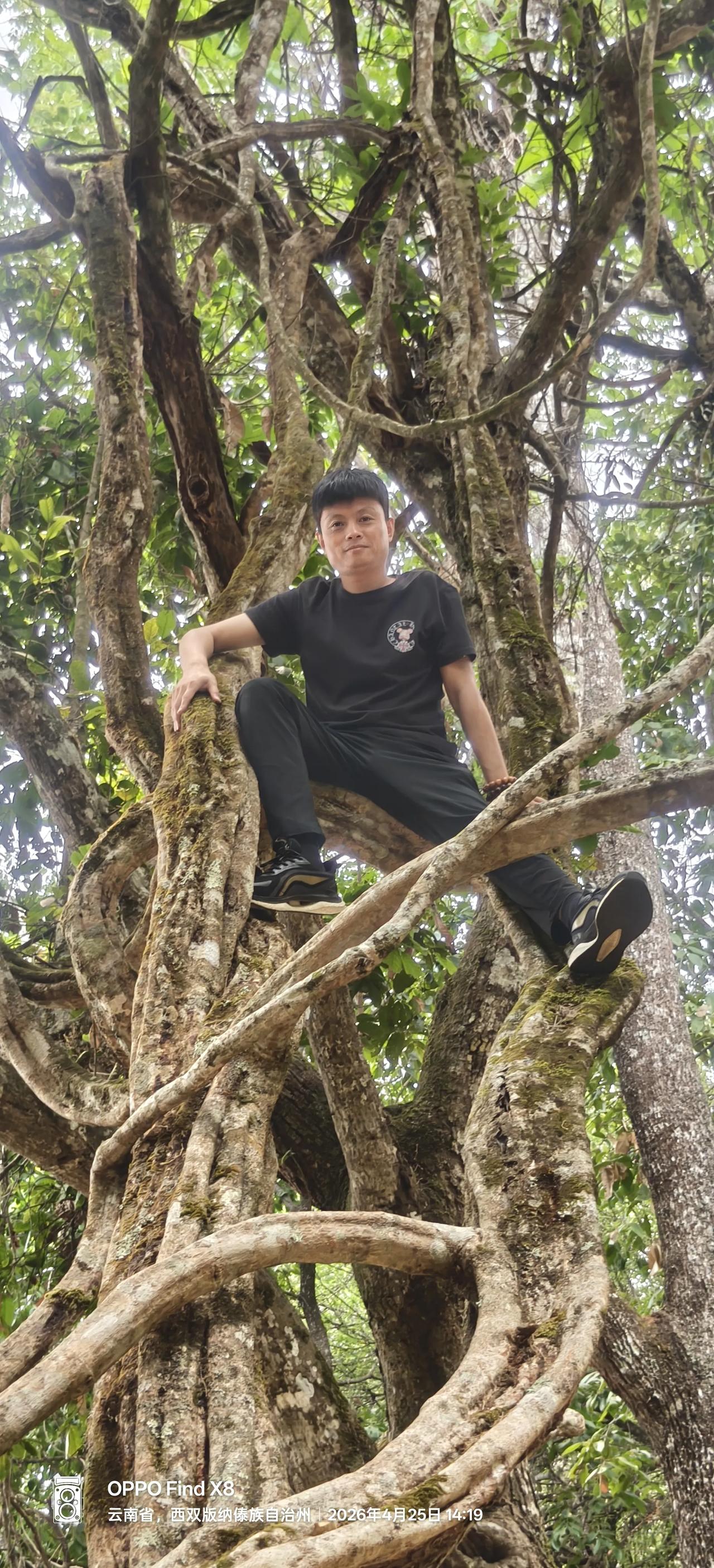 小峰小双这对姑表亲一个表哥一个表妹，是我们在西双版纳景洪的主心骨。我们老了，得有
