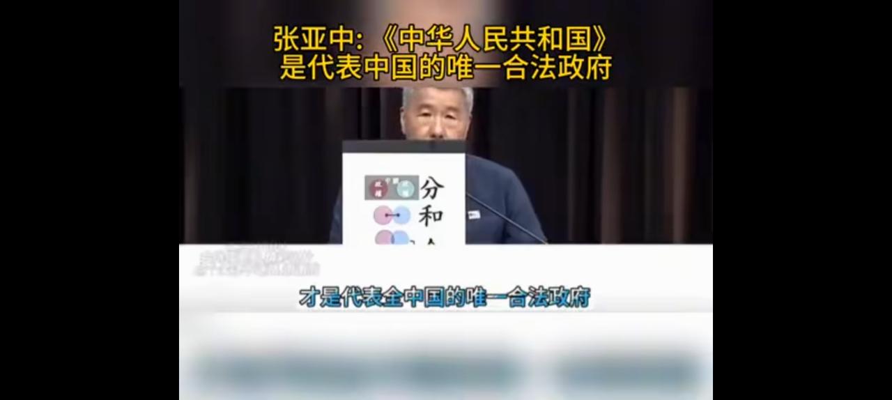 可惜天不作美，张亚中惜败国民党主席。
张亚中是唯一认同中华人民共和国乃唯一合法政