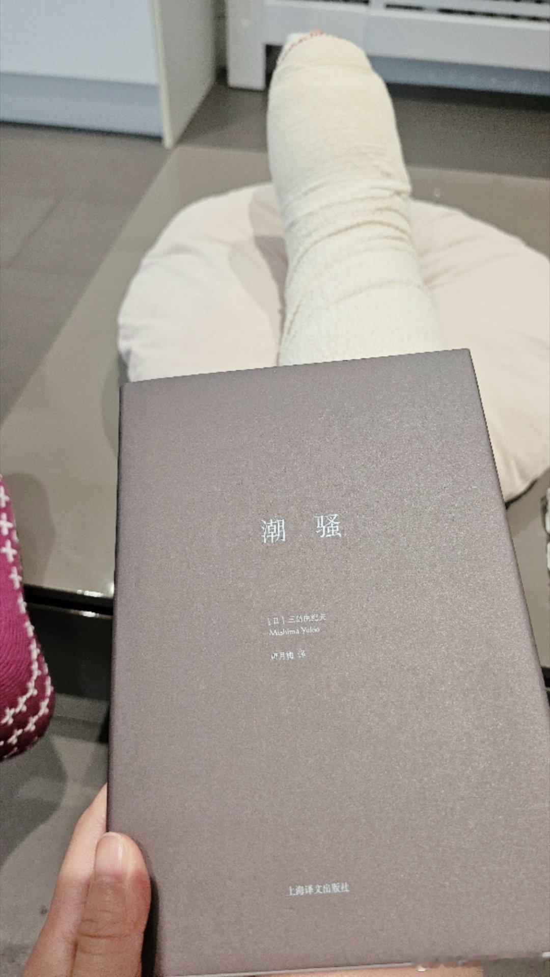 为了铲文……我继续读书……૮₍ ˊᯅˋ₎ა 